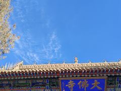 -张掖大佛寺景区