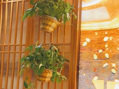 -管氏翅吧(国展店)