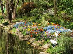 -上海共青森林公园