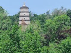 -思念果岭悦温泉
