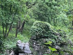 -南京老山国家森林公园