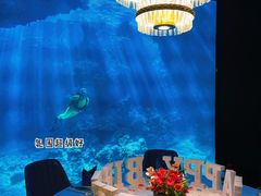 -海游荟·海洋文化餐厅(福田店)