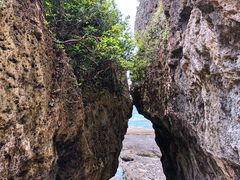 -鹅銮鼻公园
