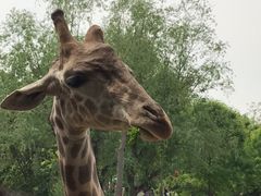 -石家庄市动物园