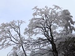-峨眉山风景名胜区