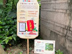 -广州神农草堂中医药博物馆