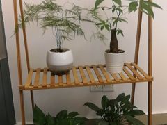 -绿房子心理咨询