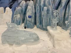 -长沙湘江冰雪世界