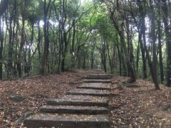 -西湖风景区十里琅珰-五云山