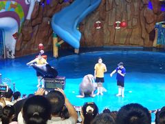 -烟台海昌鲸鲨海洋公园