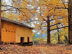 -广州市帽峰山景区
