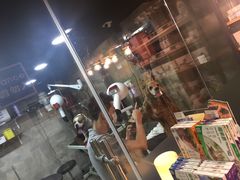 -PETKIT小佩宠物(昭化店)