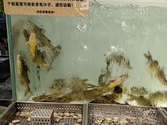 -金滏山烤肉·海鲜·火锅自助餐厅(襄阳万达店)