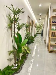 -御品•瑶浴灸疗SPA