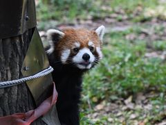 -上海野生动物园