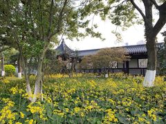 -江心屿景区
