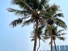 -日月湾海门游览区