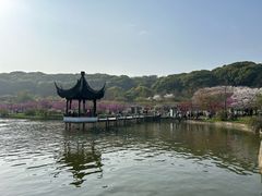-苏州上方山国家森林公园
