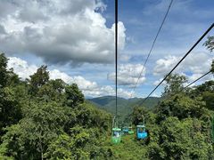 -野象谷景区
