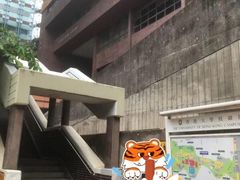 -香港大学