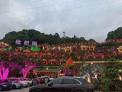 -枇杷园食为鲜火锅(南山店)