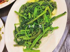 炒时蔬-江湖黑大兔(杨家坪店)