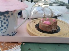 -喵屿·大理花园猫咖