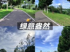 -金银湖国家城市湿地公园