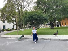 -西昌邛海宾馆
