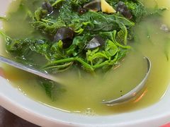 -东鸽皇(奥园·中环广场店)