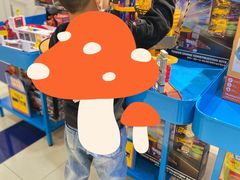 -TOYSRUS玩具反斗城(苏州中心店)