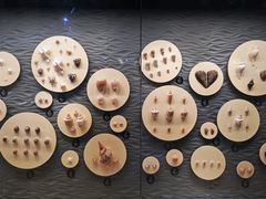 -中国（海南）南海博物馆