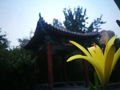 -丰台花园