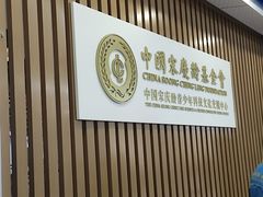 -中国宋庆龄青少年科技文化交流中心