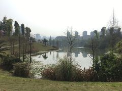 -东岳体育公园