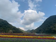 -广州市石门国家森林公园