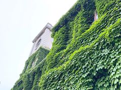 -半岛1919创意园区