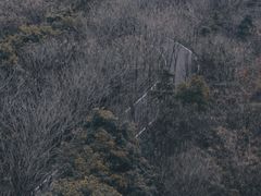 -宜兴龙背山森林公园