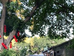 -西关竹园(荔枝湾店)