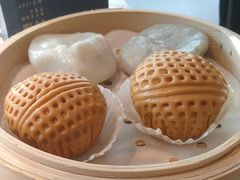 -青蓬蒸汽海鲜·深圳老字号·团建聚会(壹方城店)