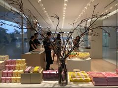 -BLACKSWAN黑天鹅(环球店)