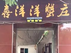 门面-喜洋洋蟹庄(阳澄湖店)