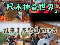 -尺木神奇世界
