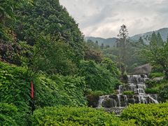 -大围山国家森林公园