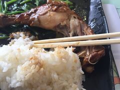 -上海野生动物园老虎餐厅