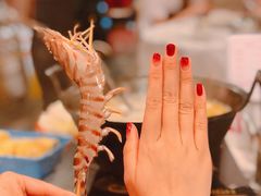 -鲜入围煮花胶鸡海鲜火锅