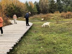 -北极村旅游风景区