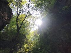-塔云山