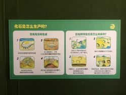 点击看大图 -恐龙探索乐园(磁器口店)