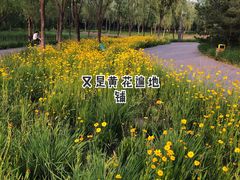 -东郊湿地公园